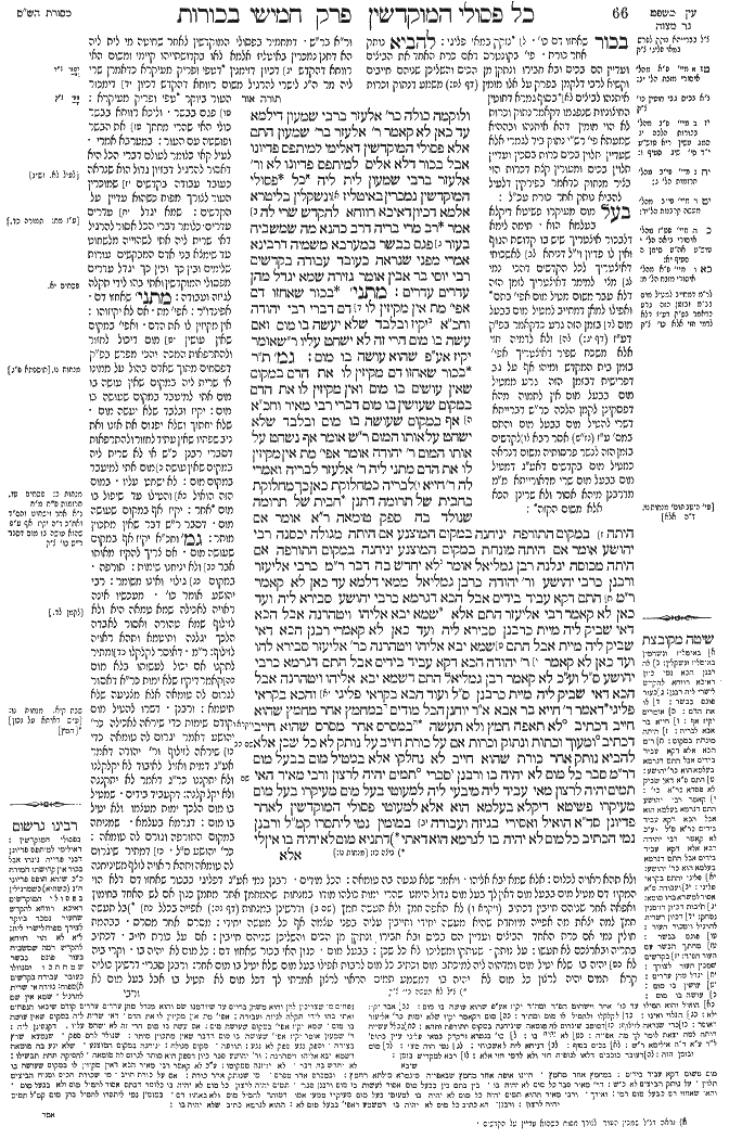 בכורות לג ב